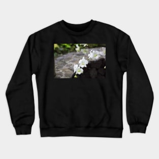 orchid Crewneck Sweatshirt